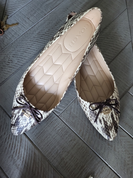 Coach Shoes - Coach Snake-Print Pointed Ballet Flats in Cream and Black